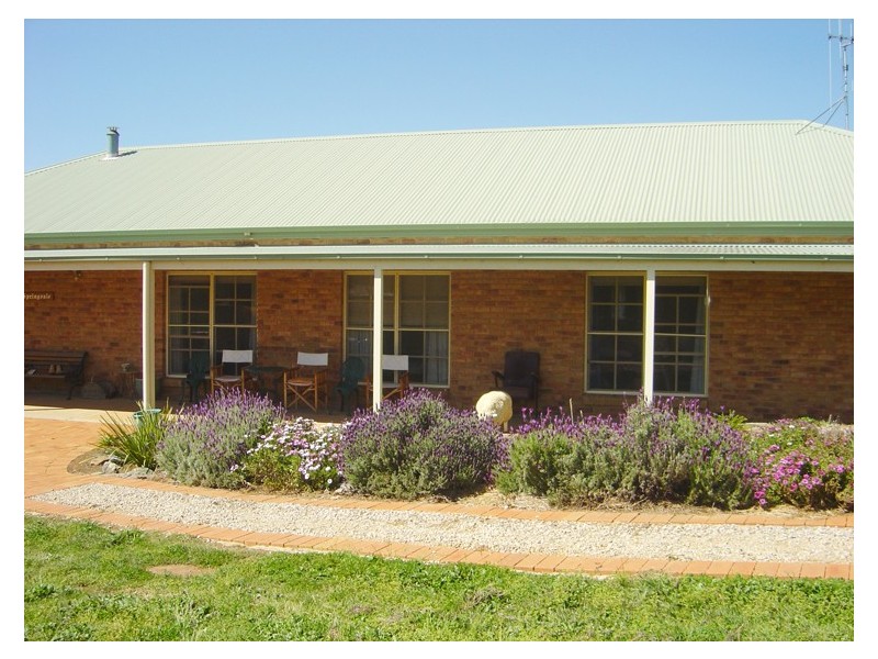 916 Mitchell Highway, Orange NSW 2800