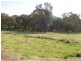 30 Sharpe Street, Cargo NSW 2800