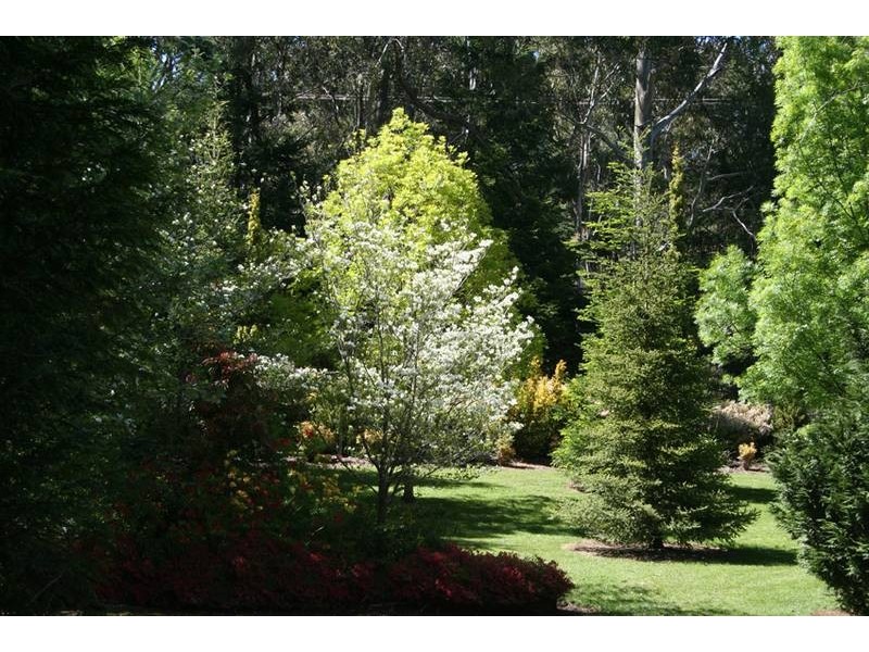 32 Walkers Lane, Pinnacle area, Orange NSW 2800