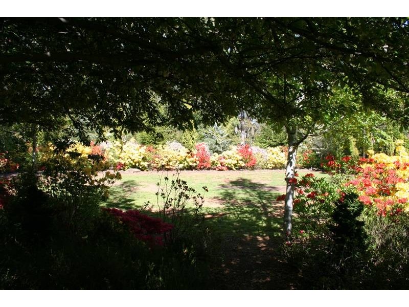 32 Walkers Lane, Pinnacle area, Orange NSW 2800