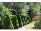 32 Walkers Lane, Pinnacle area, Orange NSW 2800