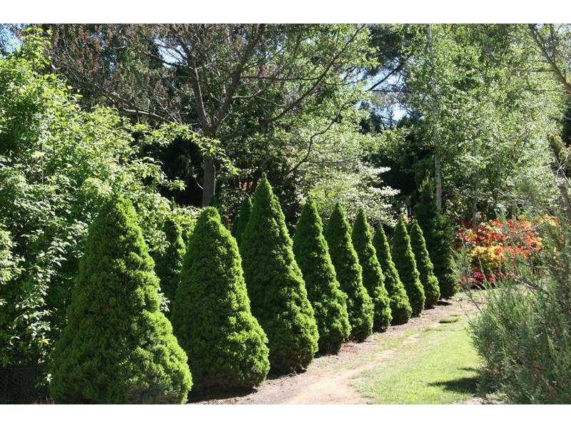 32 Walkers Lane, Pinnacle area, Orange NSW 2800