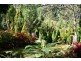 32 Walkers Lane, Pinnacle area, Orange NSW 2800