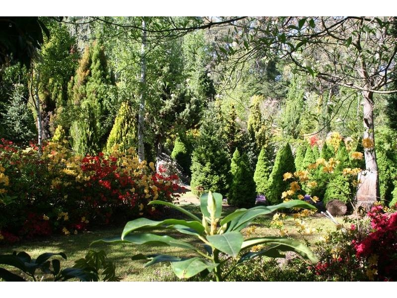 32 Walkers Lane, Pinnacle area, Orange NSW 2800