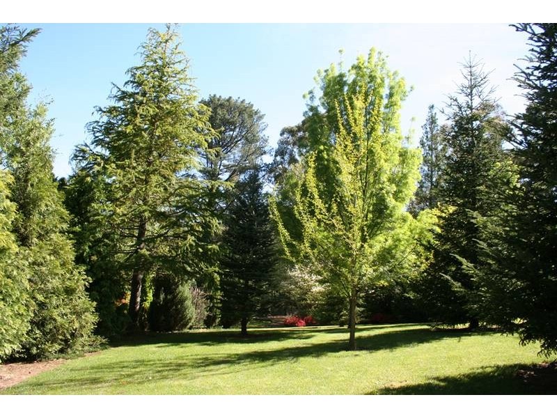 32 Walkers Lane, Pinnacle area, Orange NSW 2800