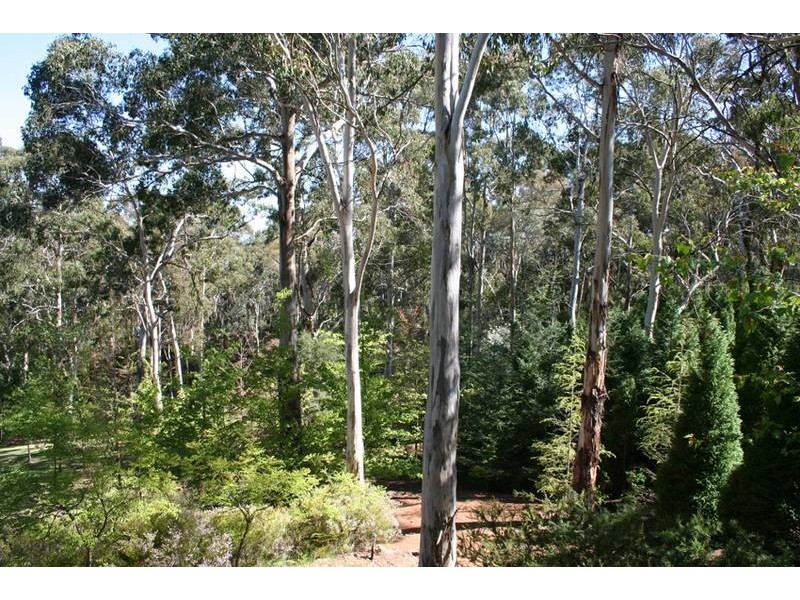 32 Walkers Lane, Pinnacle area, Orange NSW 2800