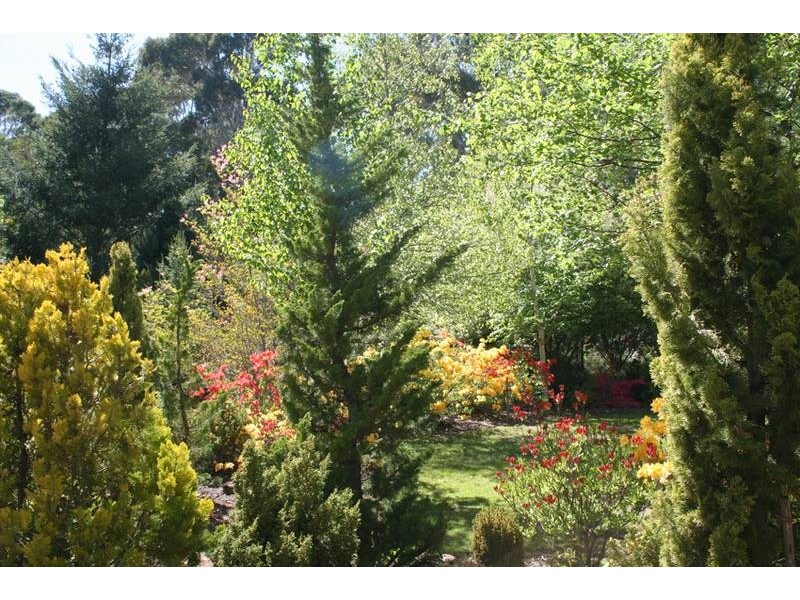 32 Walkers Lane, Pinnacle area, Orange NSW 2800