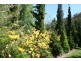 32 Walkers Lane, Pinnacle area, Orange NSW 2800