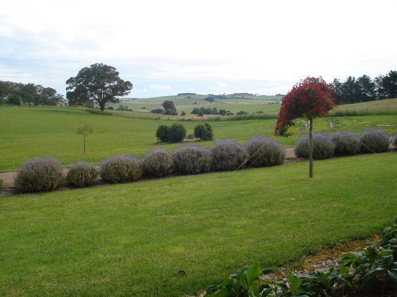 988 Browns Creek Road, Blayney NSW 2799