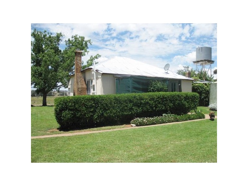 - Mitchell Highway, Molong NSW 2866