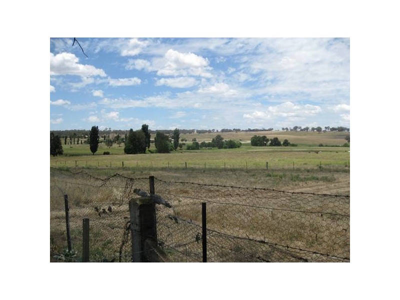 - Mitchell Highway, Molong NSW 2866