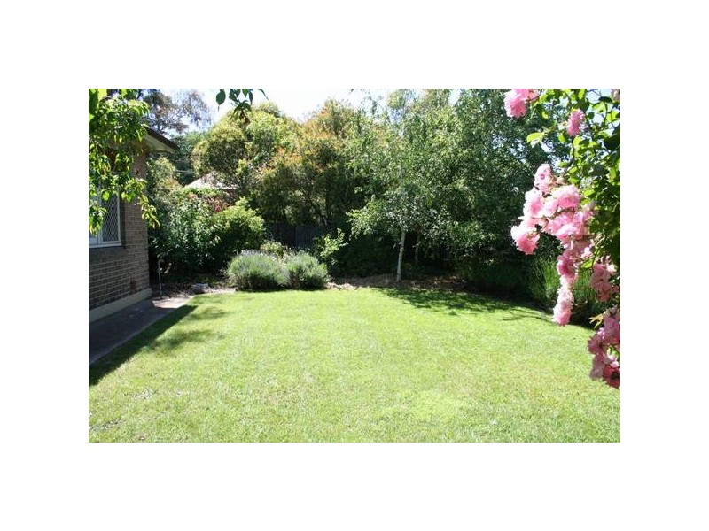 193 March Street, Orange NSW 2800