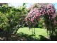 193 March Street, Orange NSW 2800