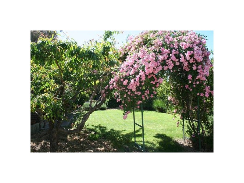 193 March Street, Orange NSW 2800