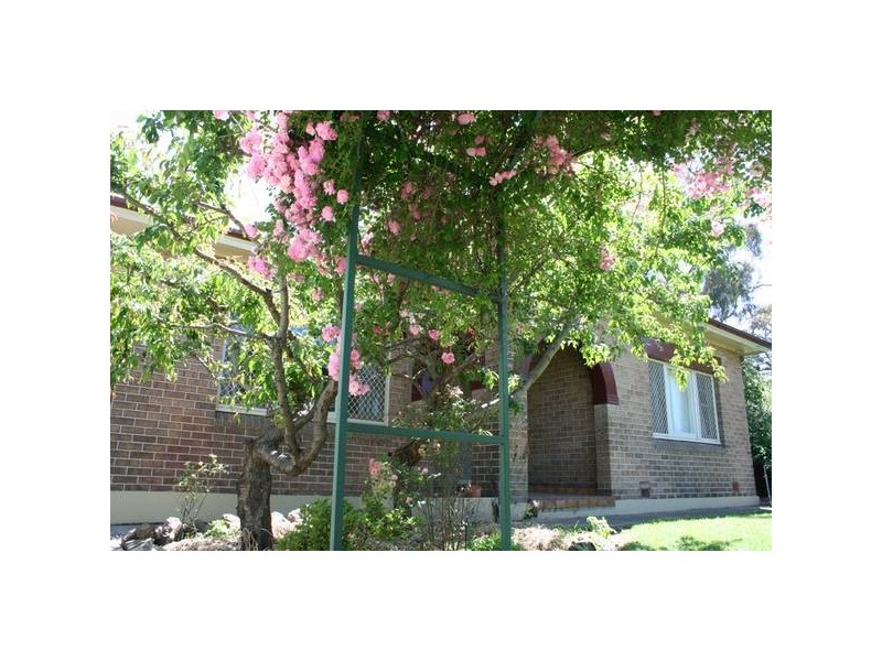 193 March Street, Orange NSW 2800