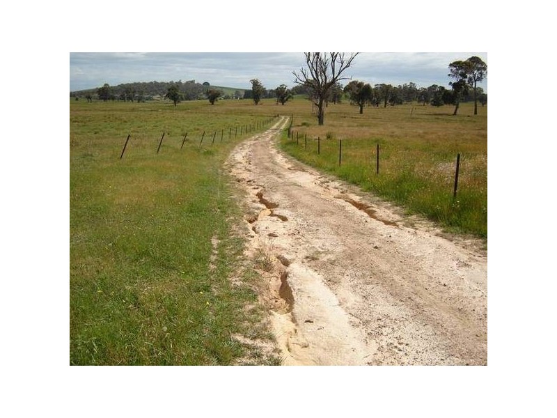 90 Sunset Hills Road, Neville NSW 2799