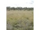 - Hill Street, Molong NSW 2866
