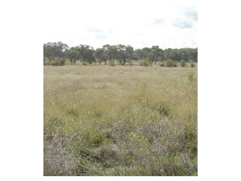 - Hill Street, Molong NSW 2866
