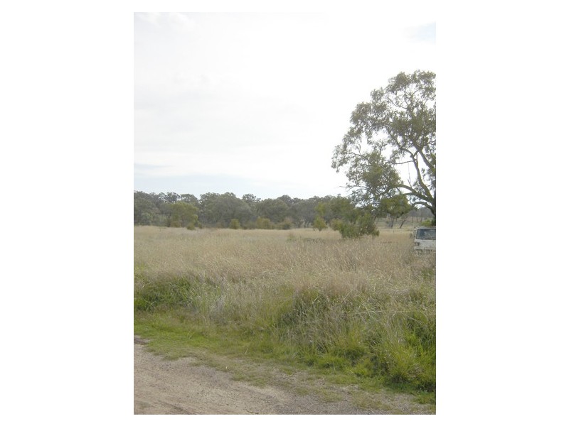 - Hill Street, Molong NSW 2866