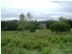 Euleilah QLD 4674