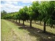 Bundaberg QLD 4670