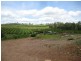 Bundaberg QLD 4670