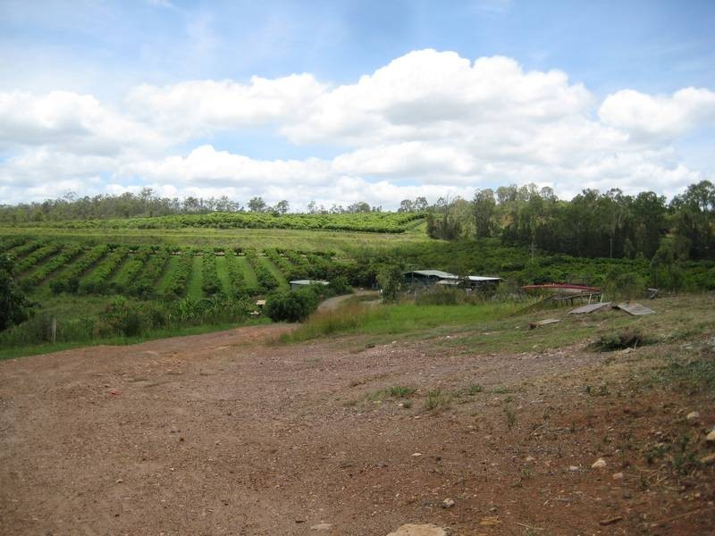 Bundaberg QLD 4670