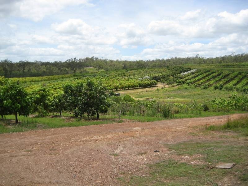 Bundaberg QLD 4670