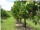 Bundaberg QLD 4670