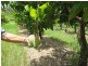 Bundaberg QLD 4670