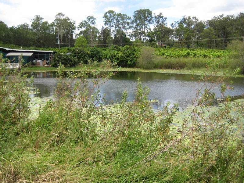 Bundaberg QLD 4670