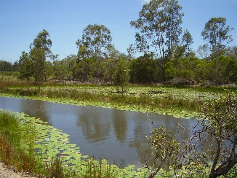32 Newtons Road, Rosedale QLD 4674