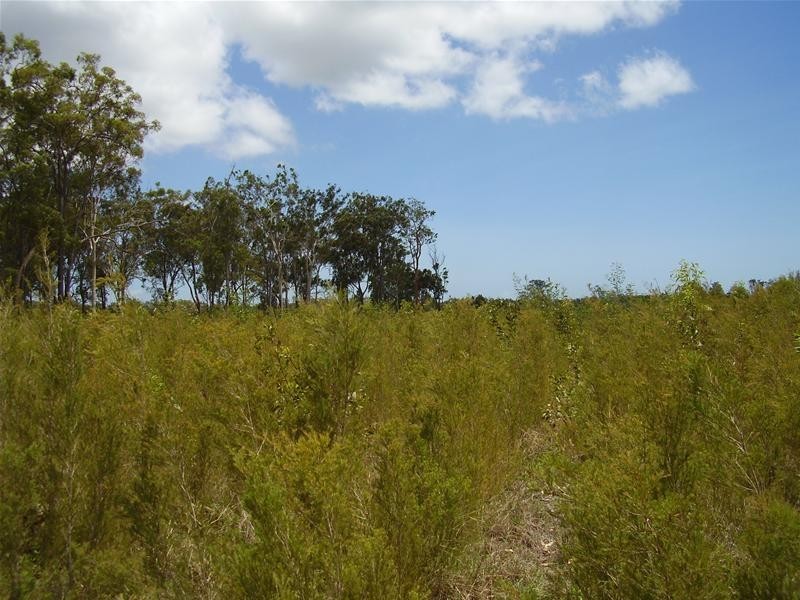 32 Newtons Road, Rosedale QLD 4674