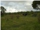 Yandaran QLD 4673