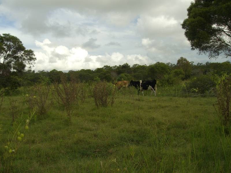 Yandaran QLD 4673