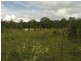 Yandaran QLD 4673
