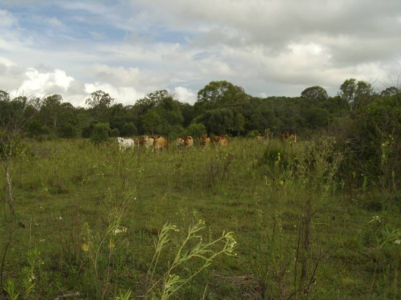 Yandaran QLD 4673