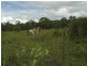 Yandaran QLD 4673