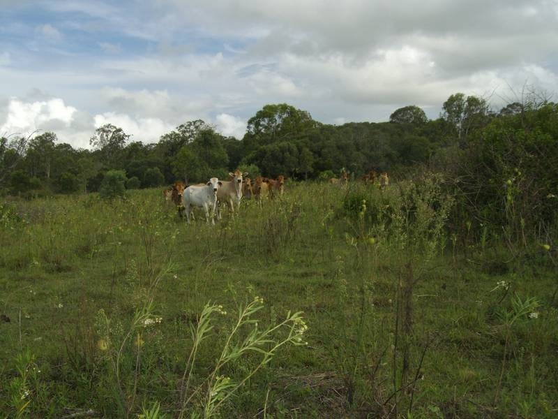 Yandaran QLD 4673