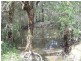 Yandaran QLD 4673
