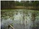 Mount Maria QLD 4674