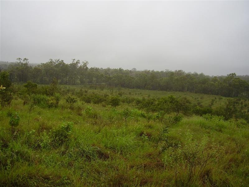 Euleilah QLD 4674