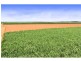 Farnsfield QLD 4660