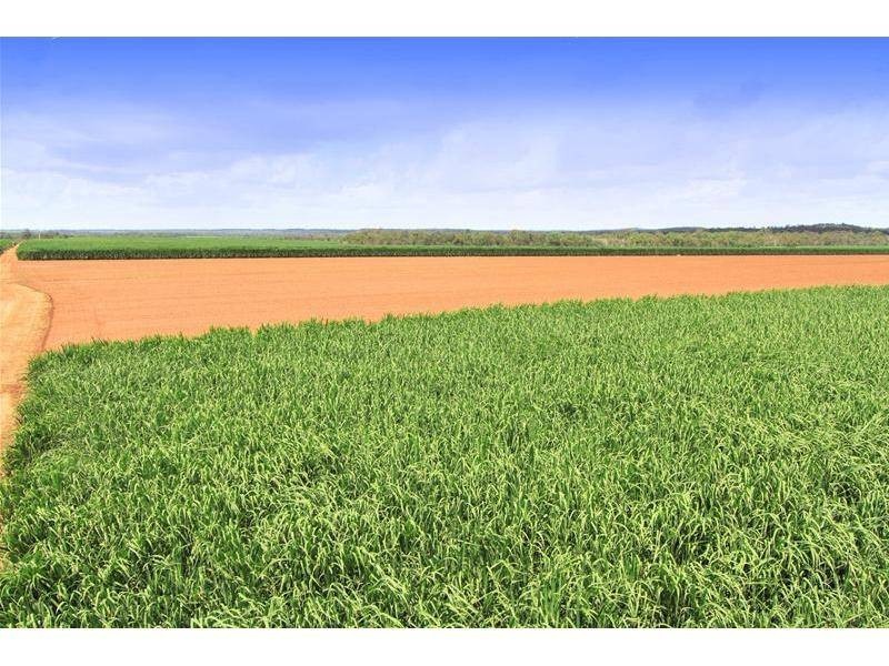 Farnsfield QLD 4660