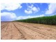 Farnsfield QLD 4660