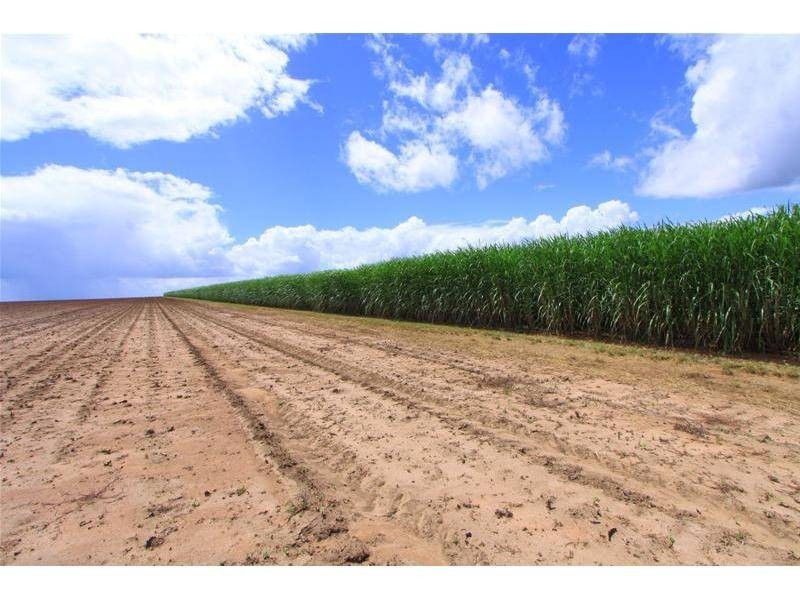 Farnsfield QLD 4660