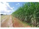 Farnsfield QLD 4660