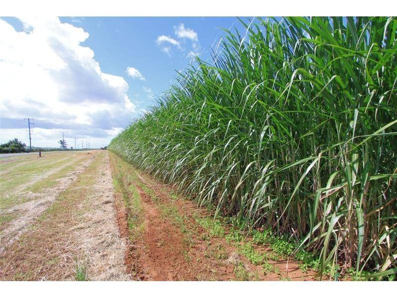 Farnsfield QLD 4660