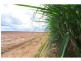 Farnsfield QLD 4660