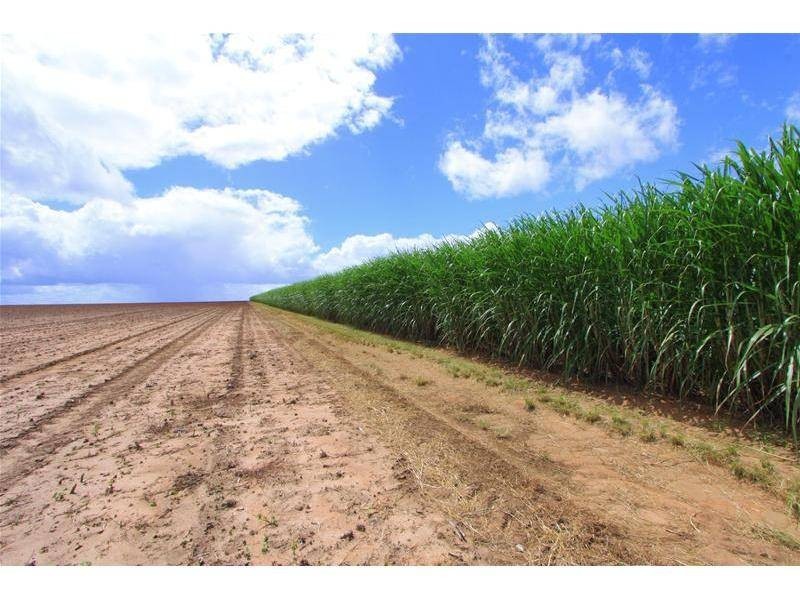 Farnsfield QLD 4660